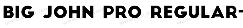 Big john pro regular字体转换